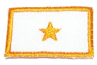 Distintivo de Escoteiro Chefe Adjunto da Chefia Nacional